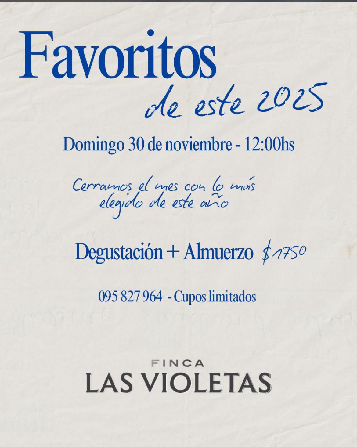 Almuerzo en Finca las Violetas