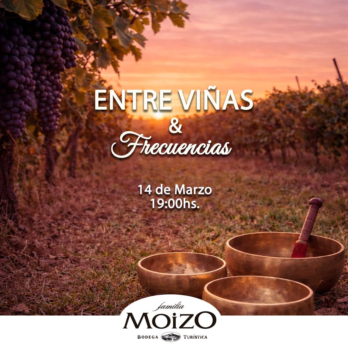 Entre viñas y frecuencias