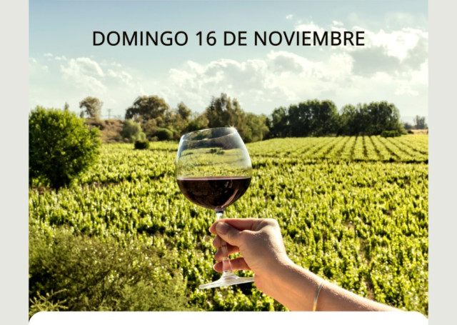 Experiencia en Bodega Piccardo