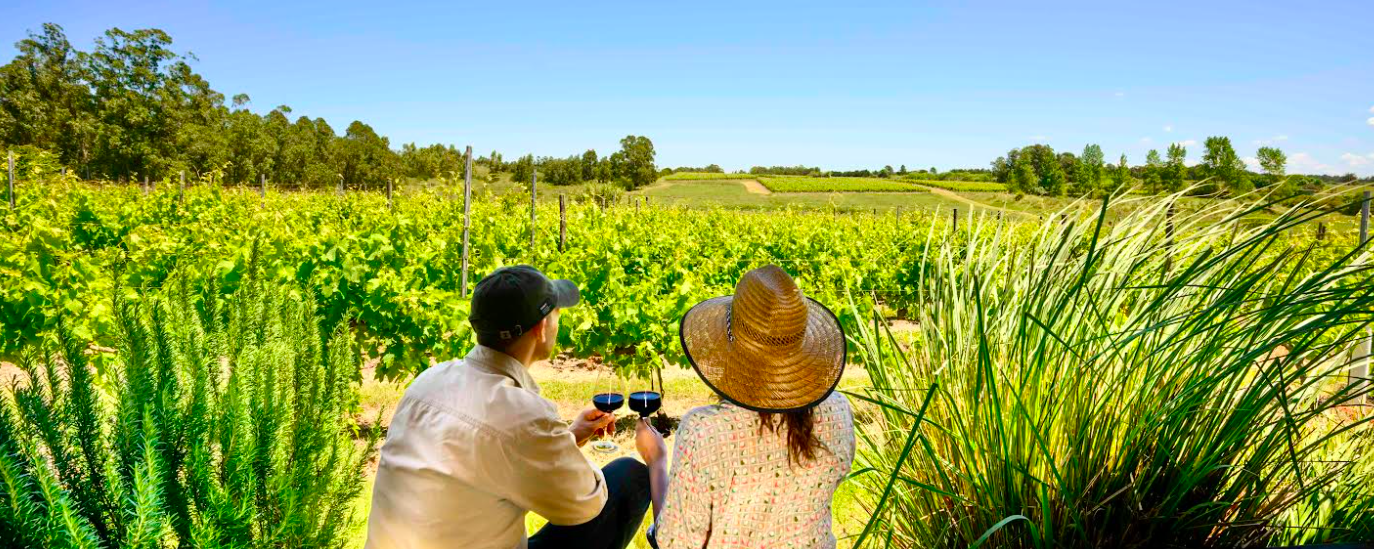 Celebramos el comienzo de la Vendimia