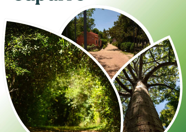 Horario de verano en Quinta Capurro