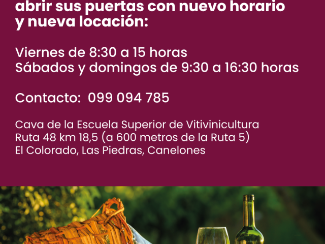 museo-de-la-uva-y-el-vino-POSTEO