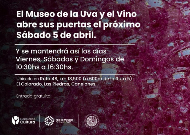 Museo de la Uva y el Vino
