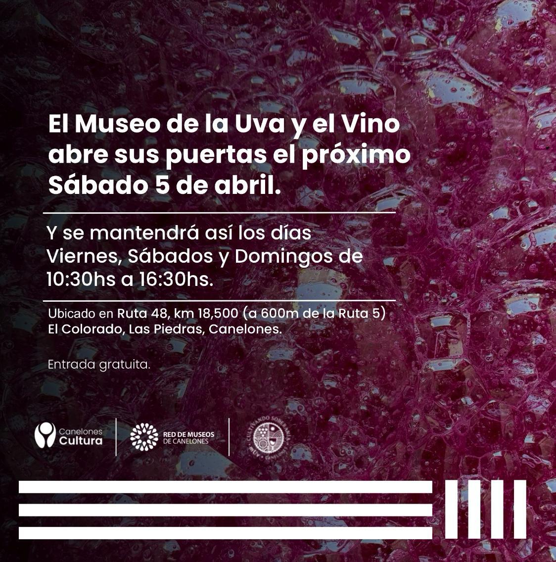 Museo de la Uva y el Vino