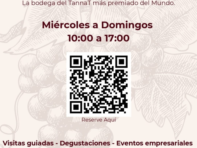 stagnari_experiencias