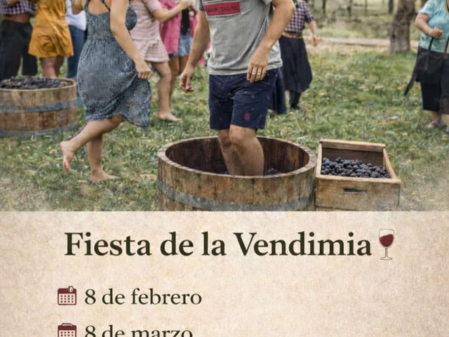 vendimia_26_castillo_viejo