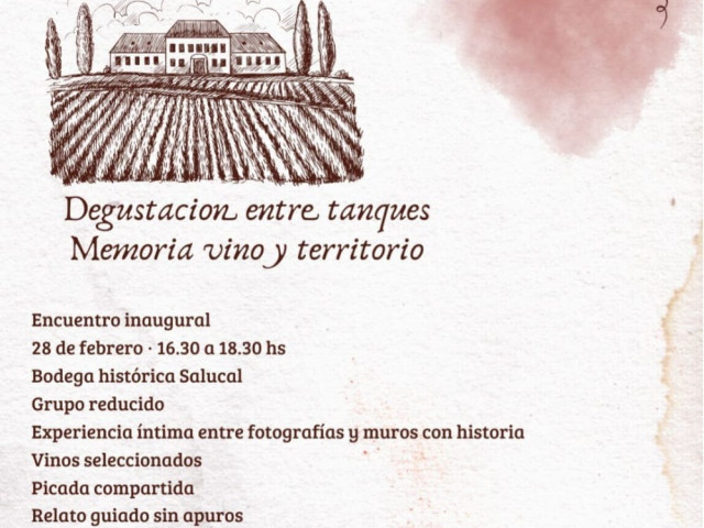 vendimia_26_salucal_28_feb