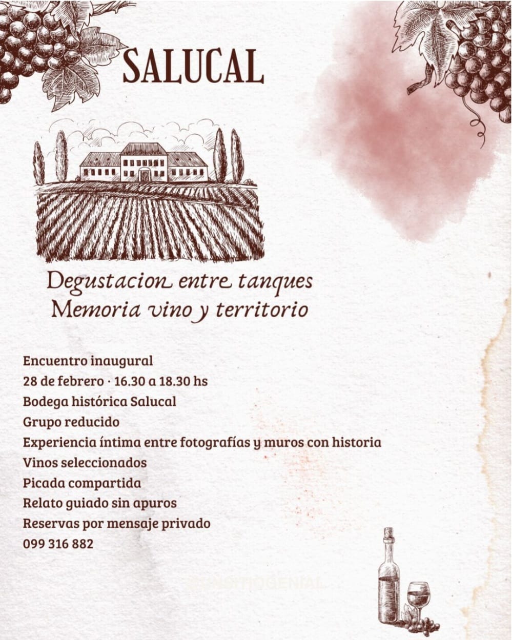 Degustación entre tanques, memoria, vino y territorio