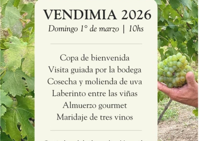 Vendimia en H.Stagnari