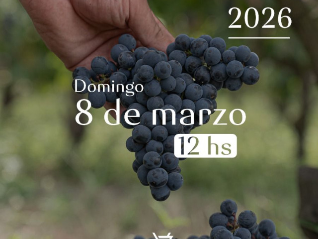 vendimia_26_zarranz_8_marz