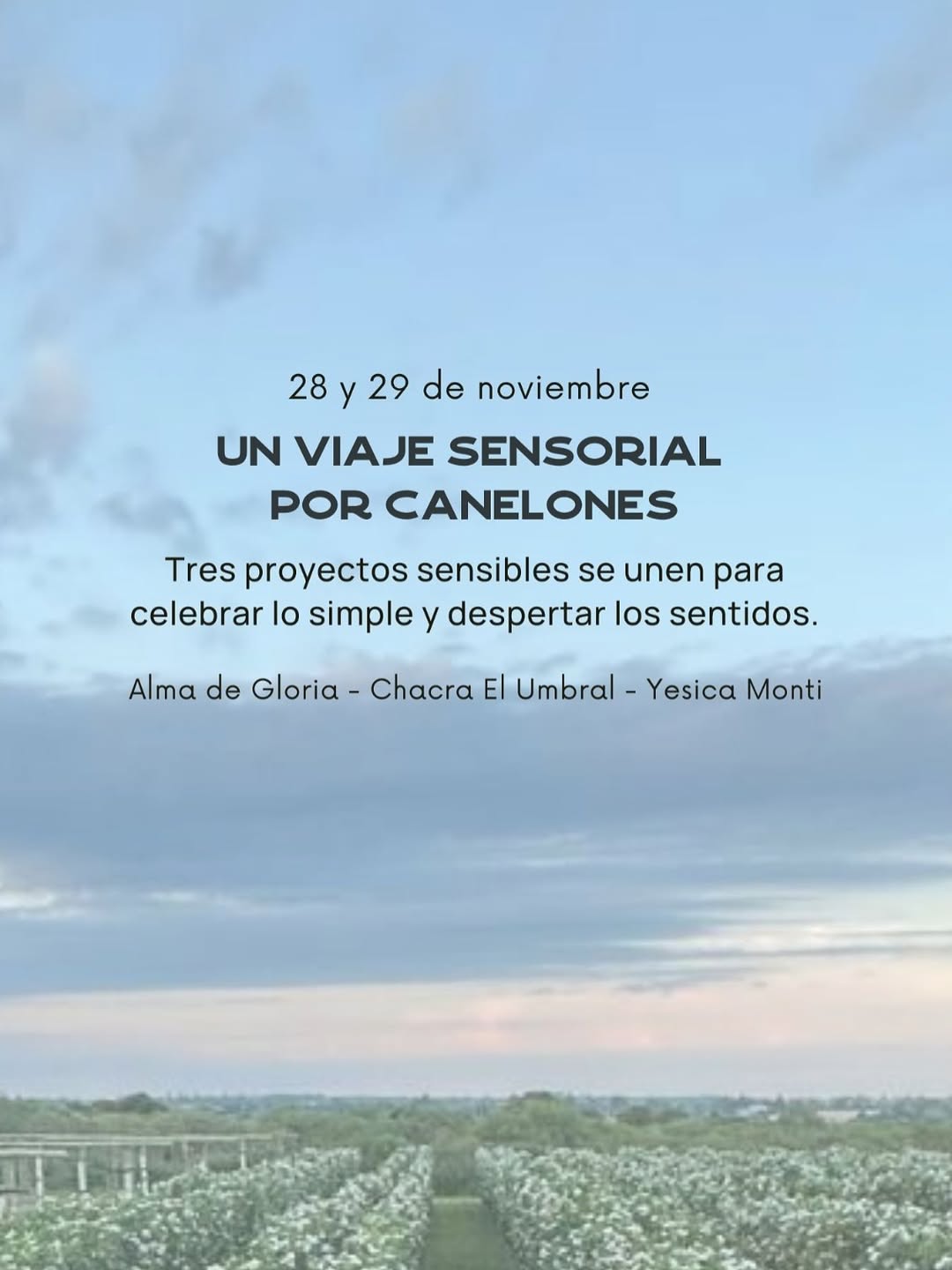 Un viaje sensorial por Canelones