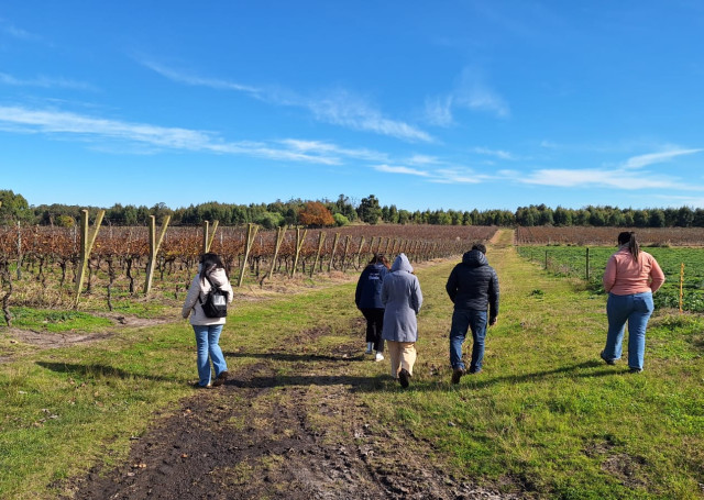 Visita a bodegas ganadoras de Fondo Concursable