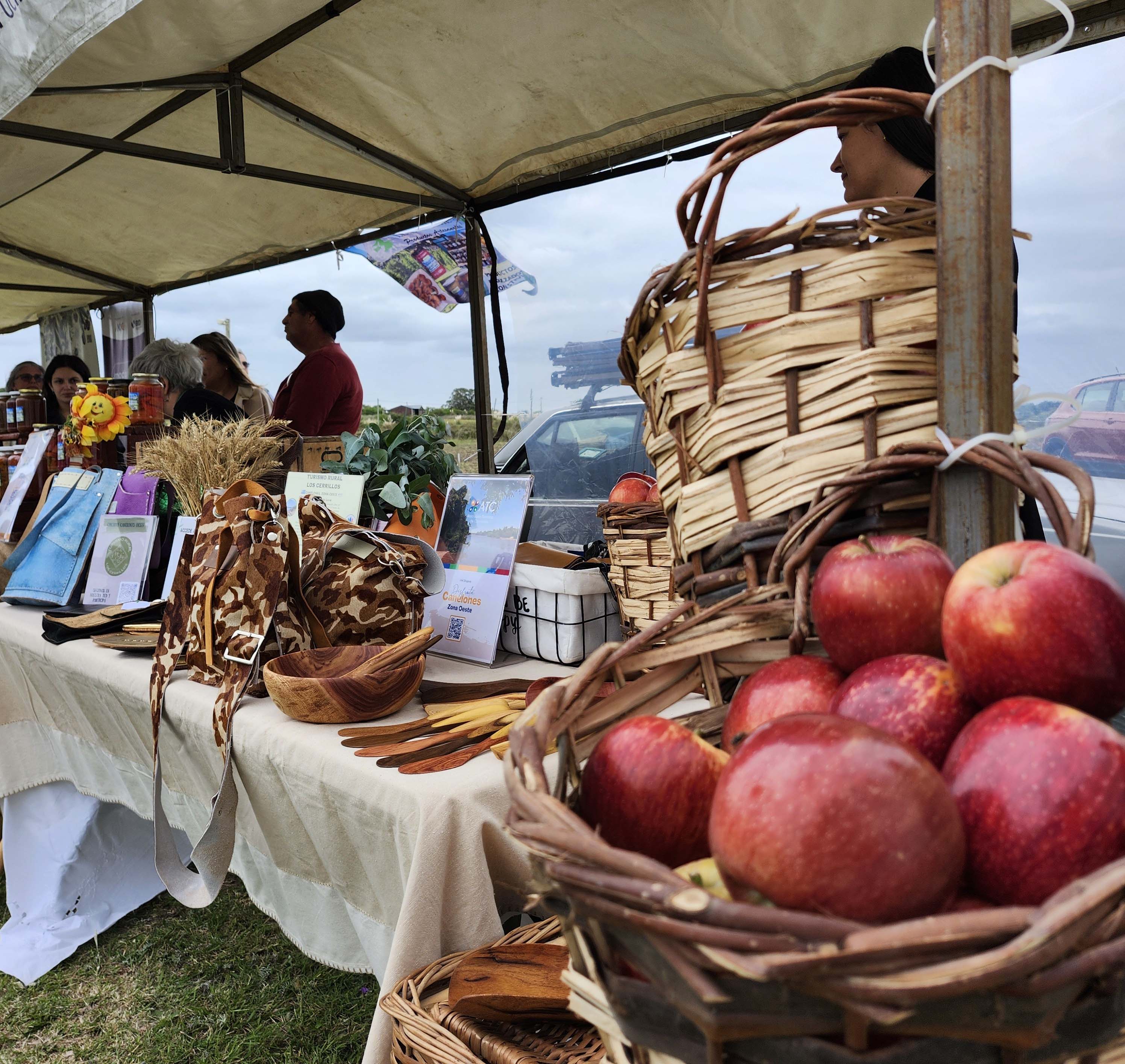 Texto descriptivo de la imagen