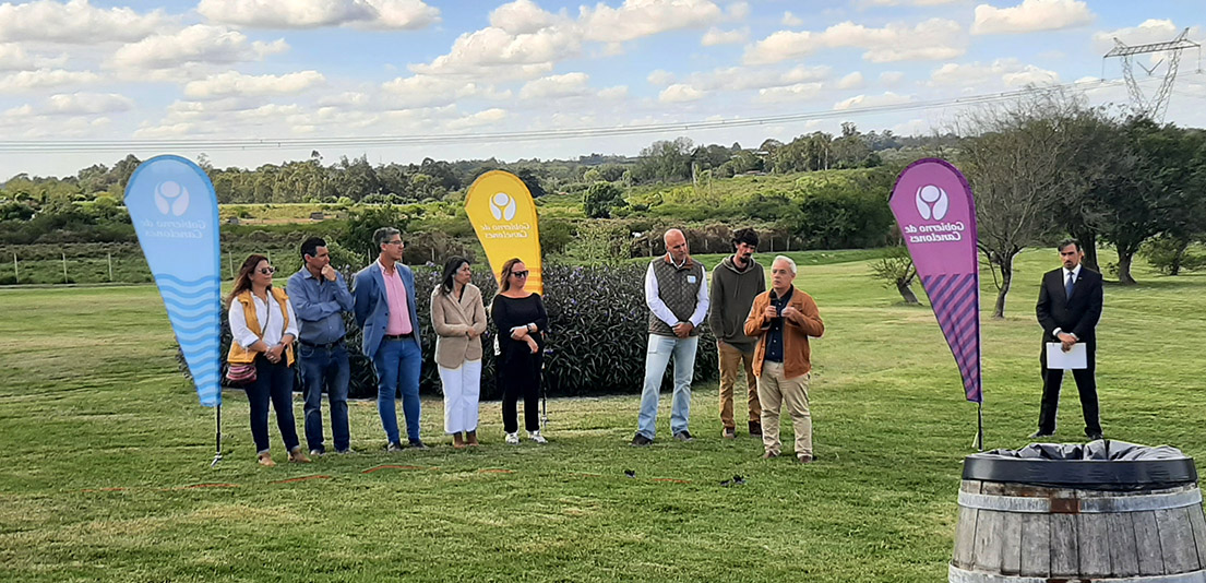 Texto descriptivo de la imagen