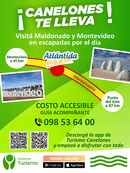 Texto descriptivo de la imagen