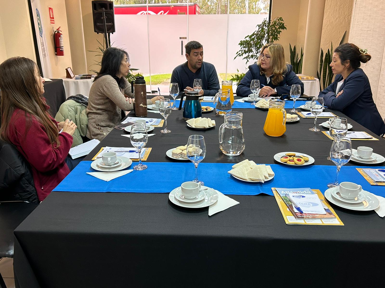 Texto descriptivo de la imagen