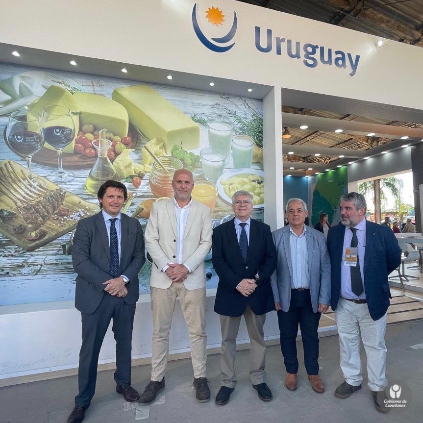 Texto descriptivo de la imagen