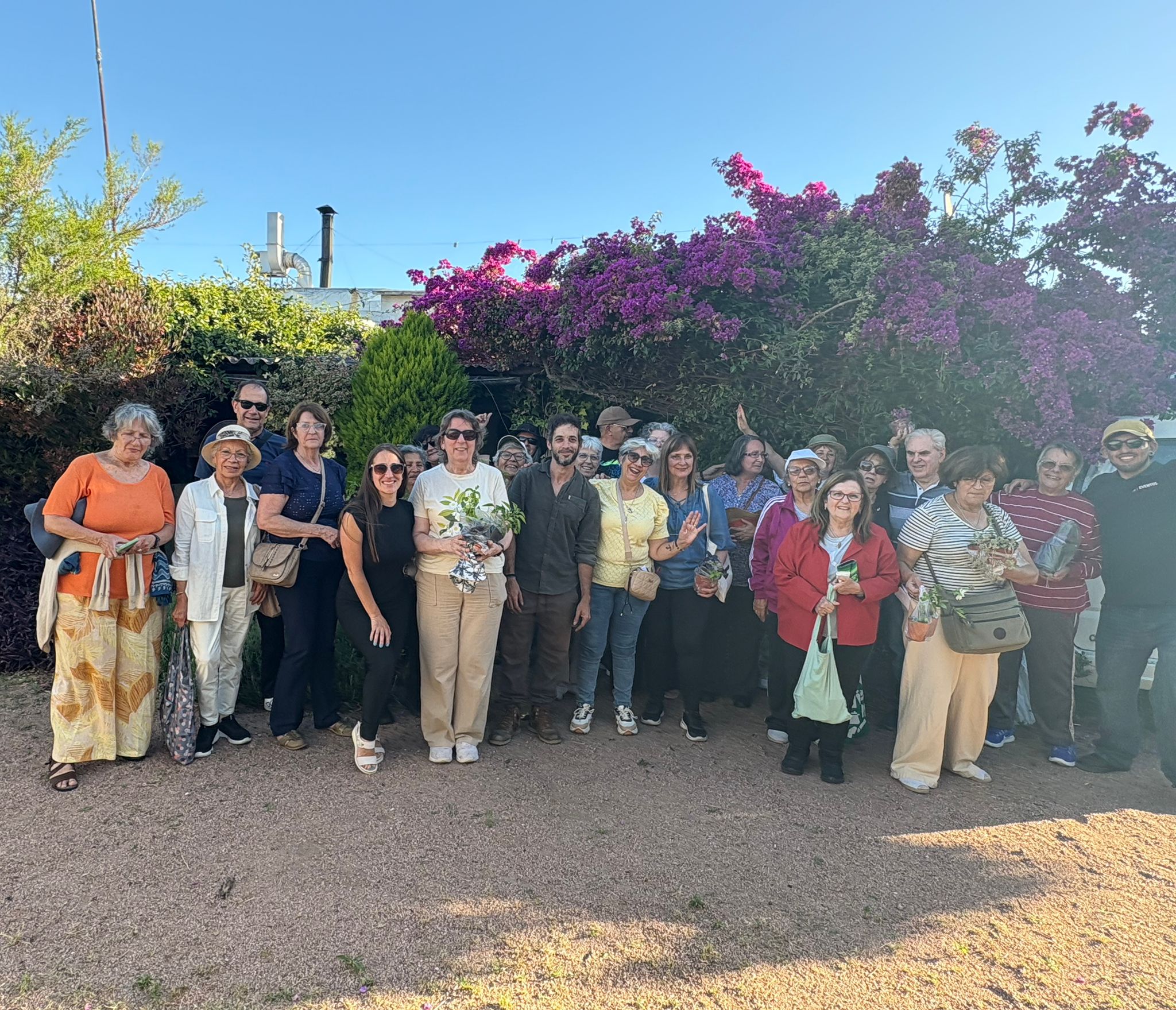 Texto descriptivo de la imagen