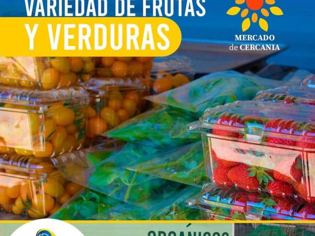 descripcion de imagen