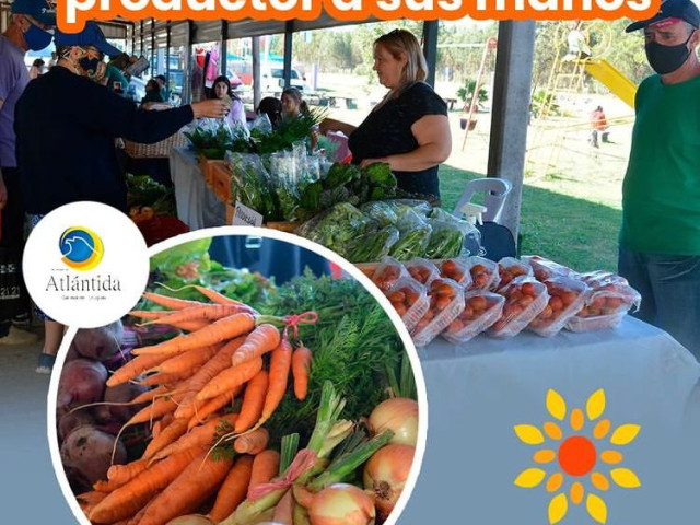 descripcion de imagen