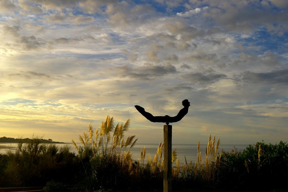 descripcion de imagen