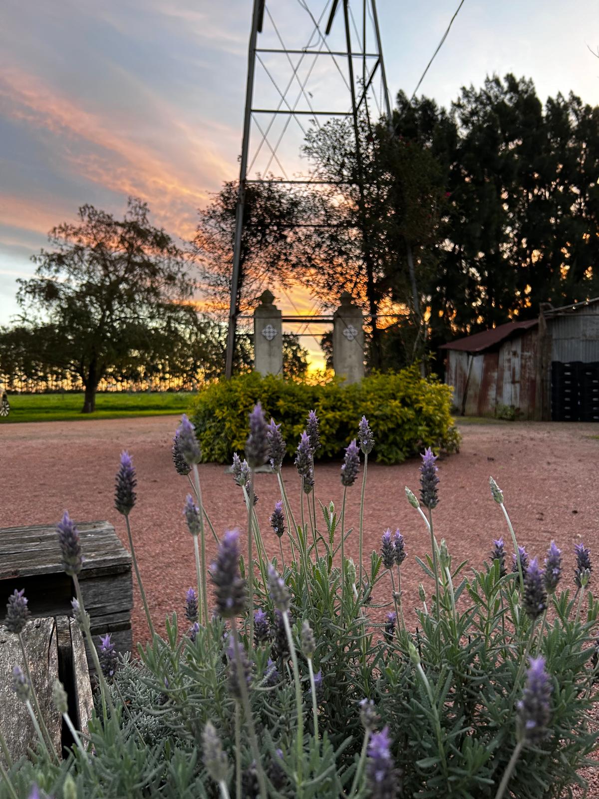 descripcion de imagen