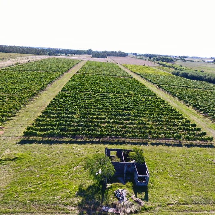 descripcion de imagen