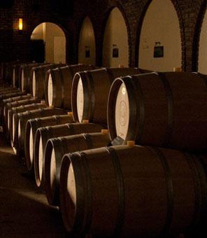 descripcion de imagen