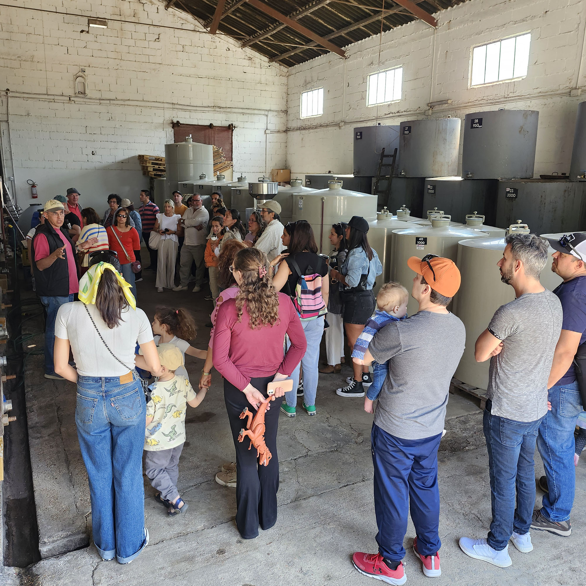 descripcion de imagen