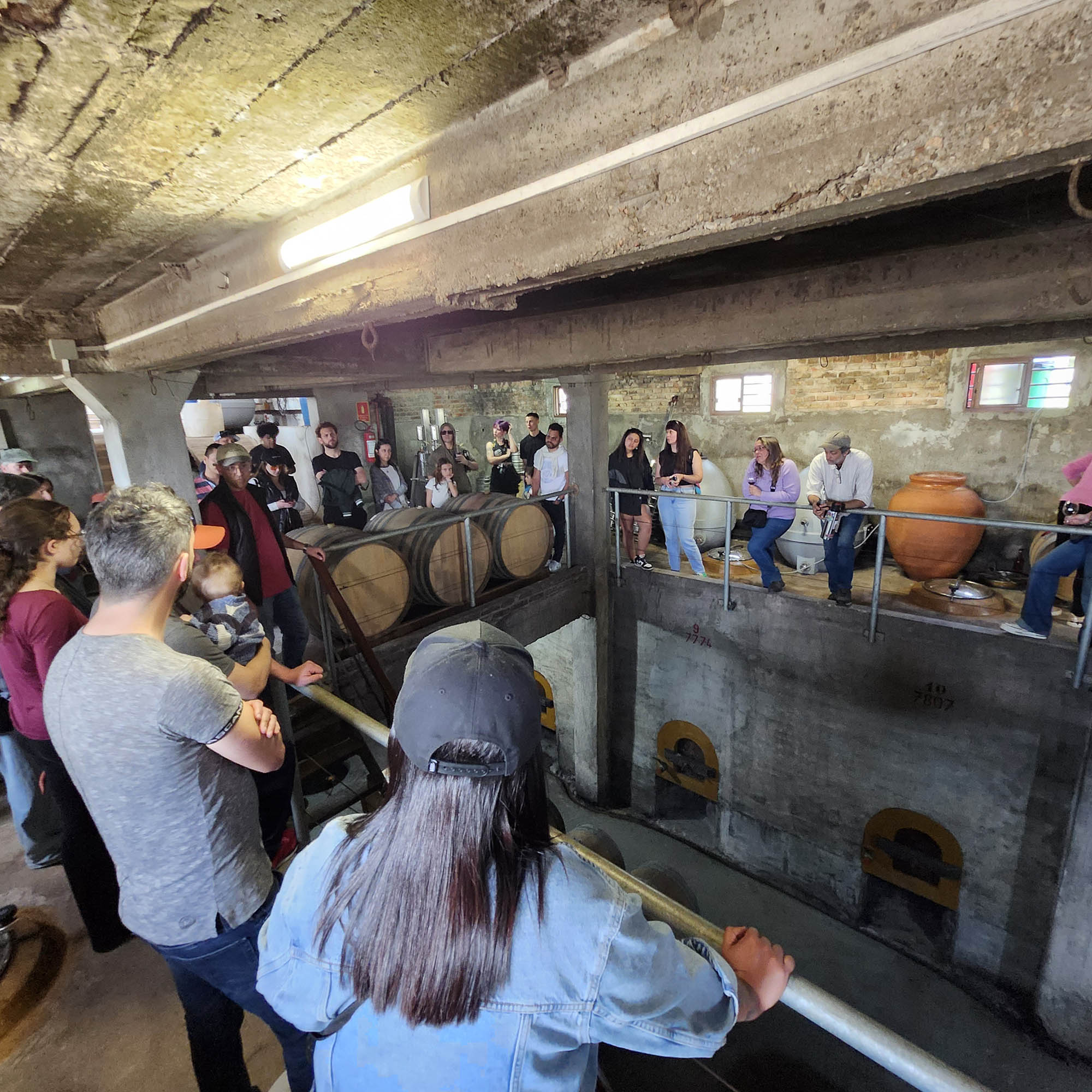 descripcion de imagen