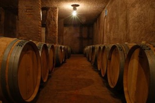 descripcion de imagen