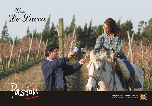 descripcion de imagen