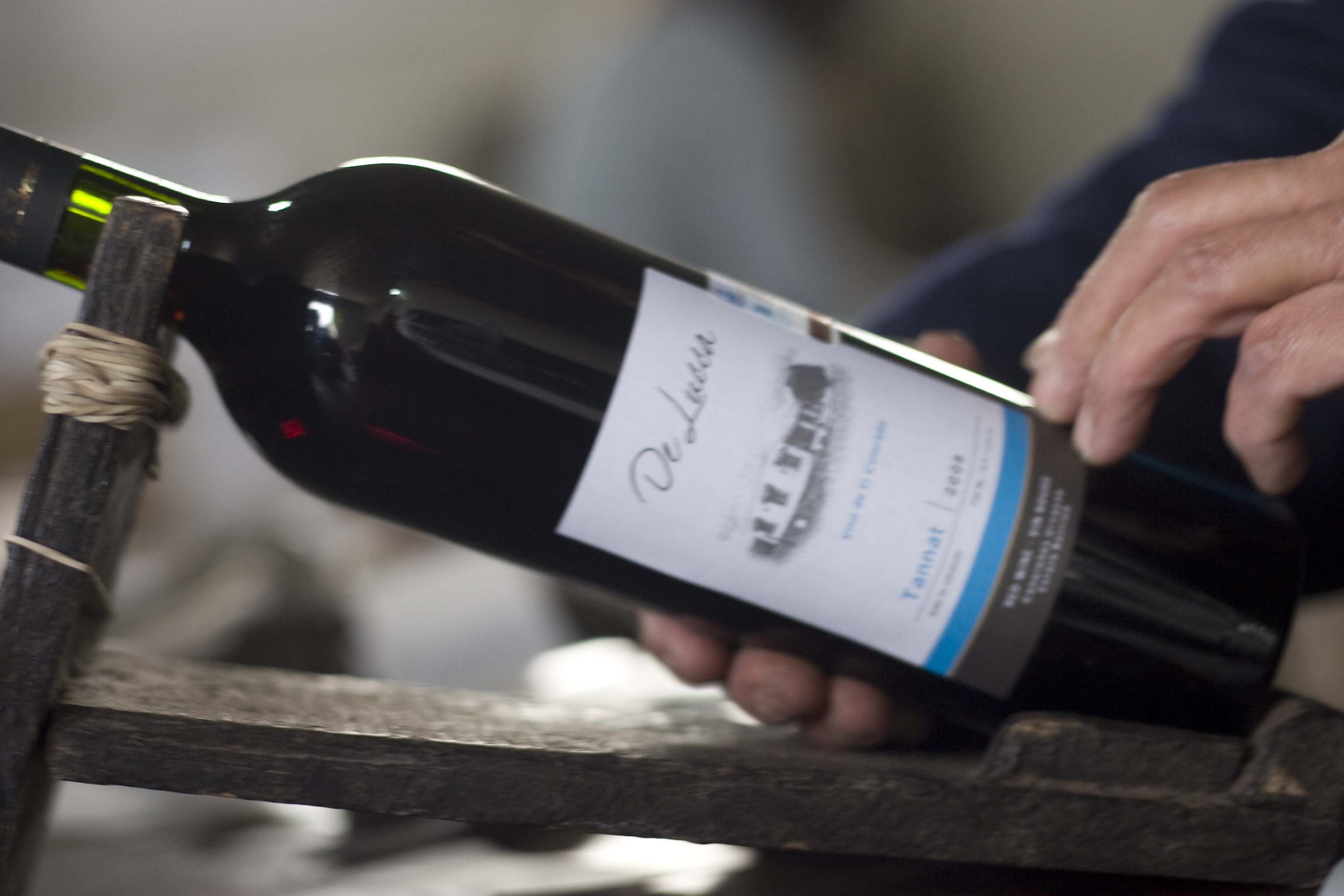 descripcion de imagen