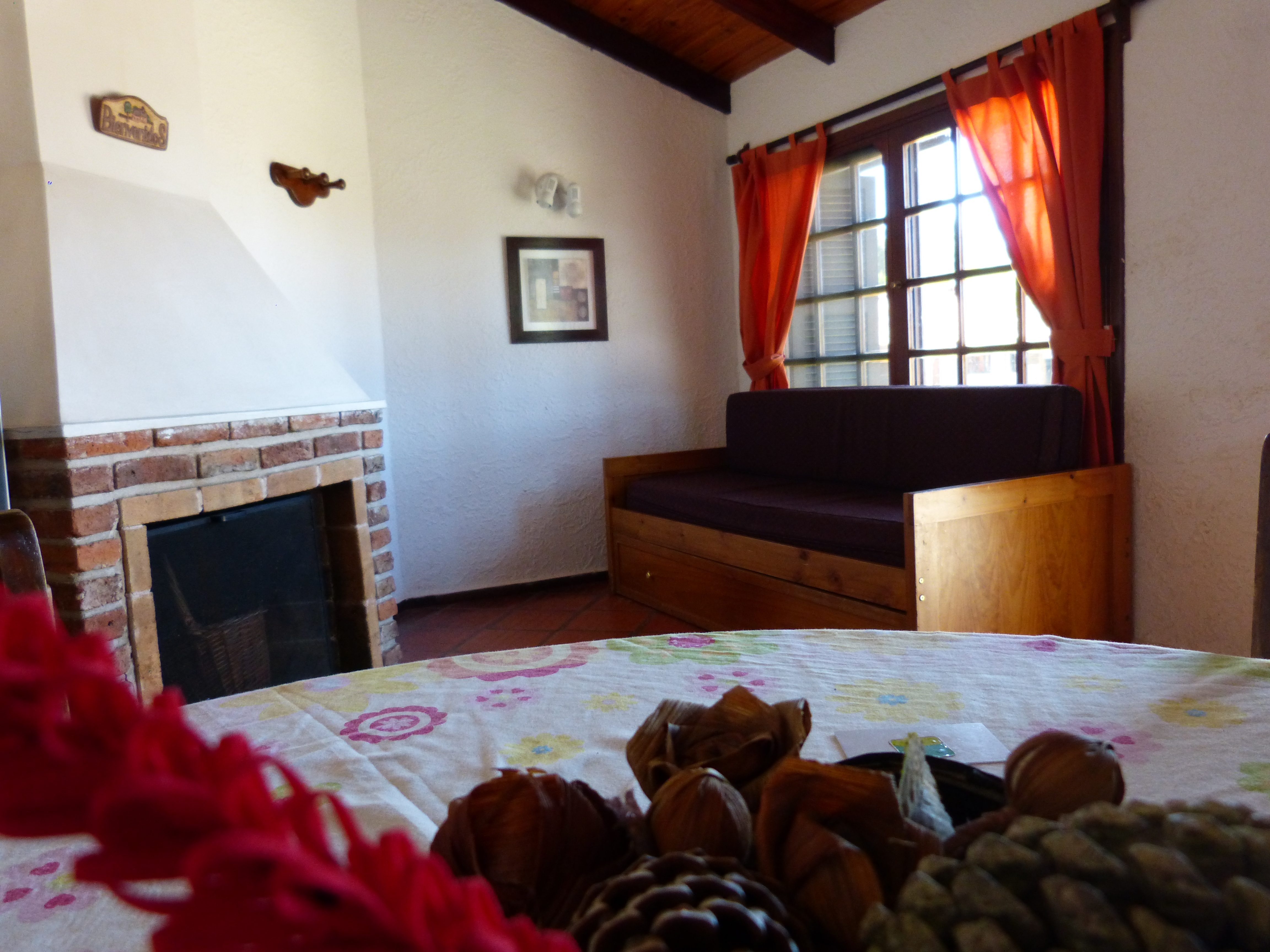 descripcion de imagen