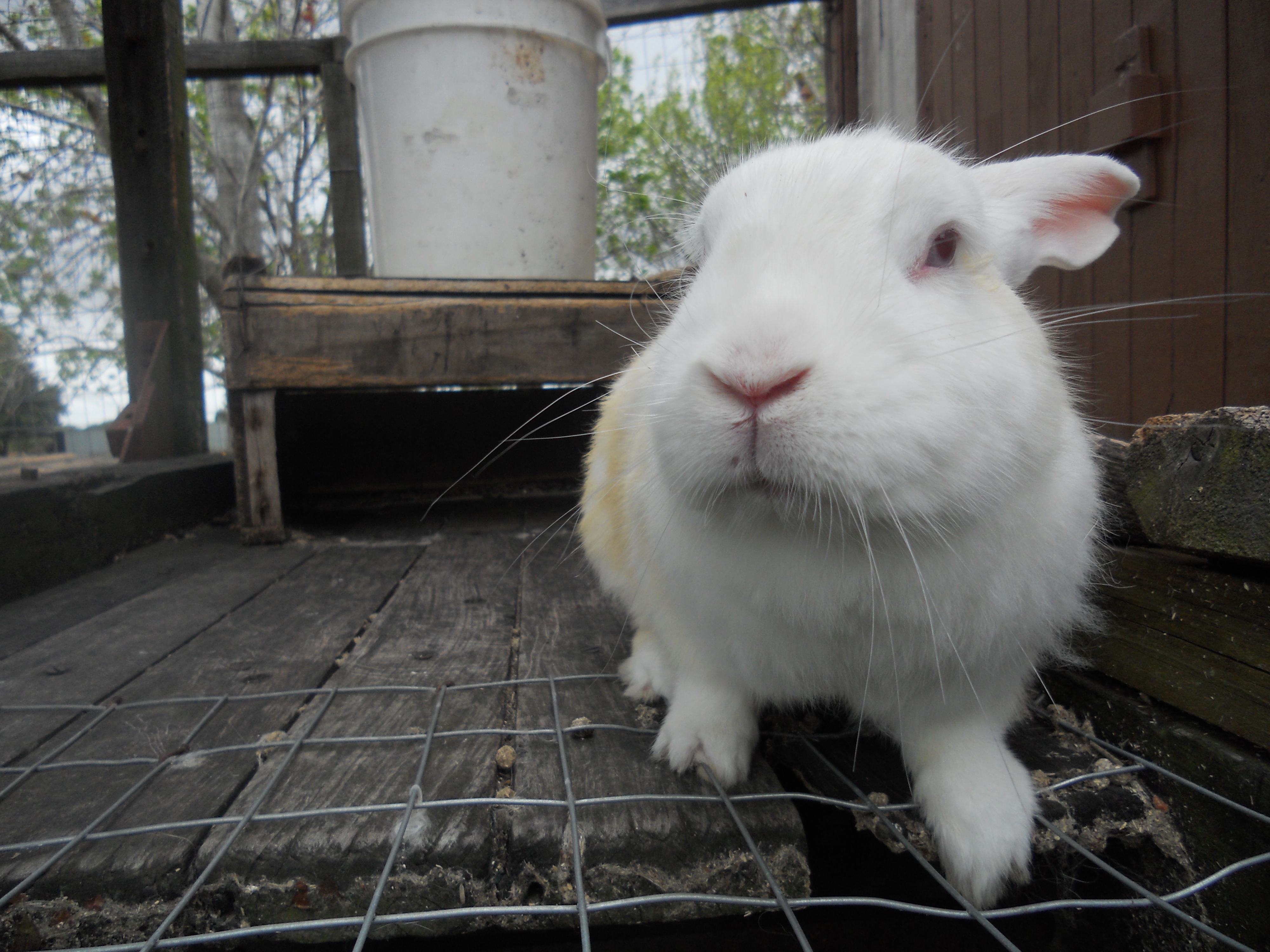 descripcion de imagen