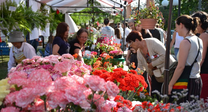 descripcion de imagen