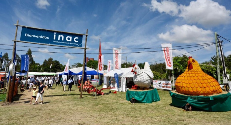 descripcion de imagen