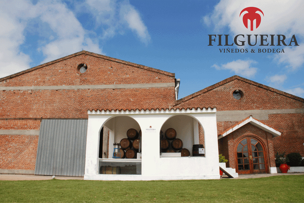 descripcion de imagen