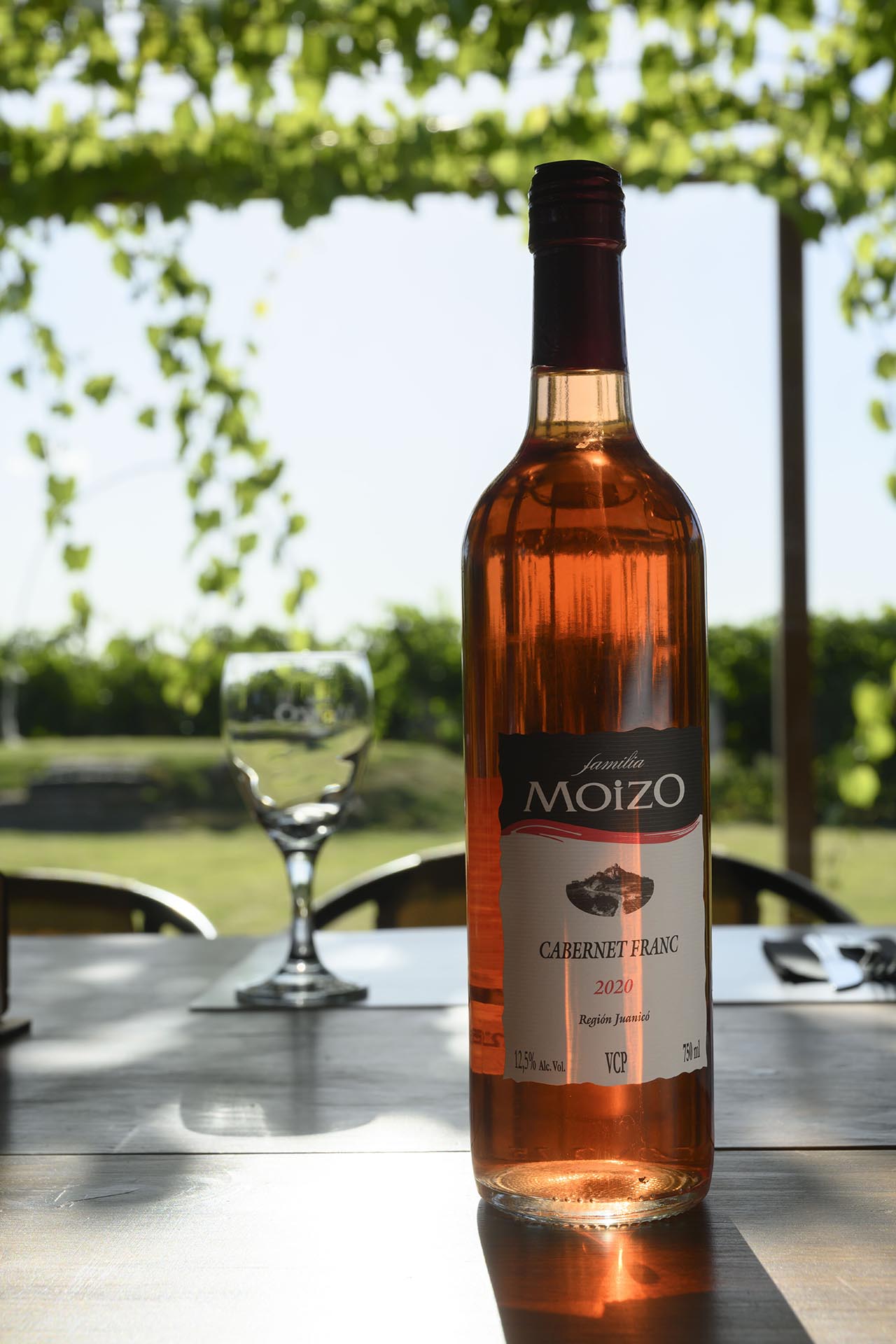 descripcion de imagen