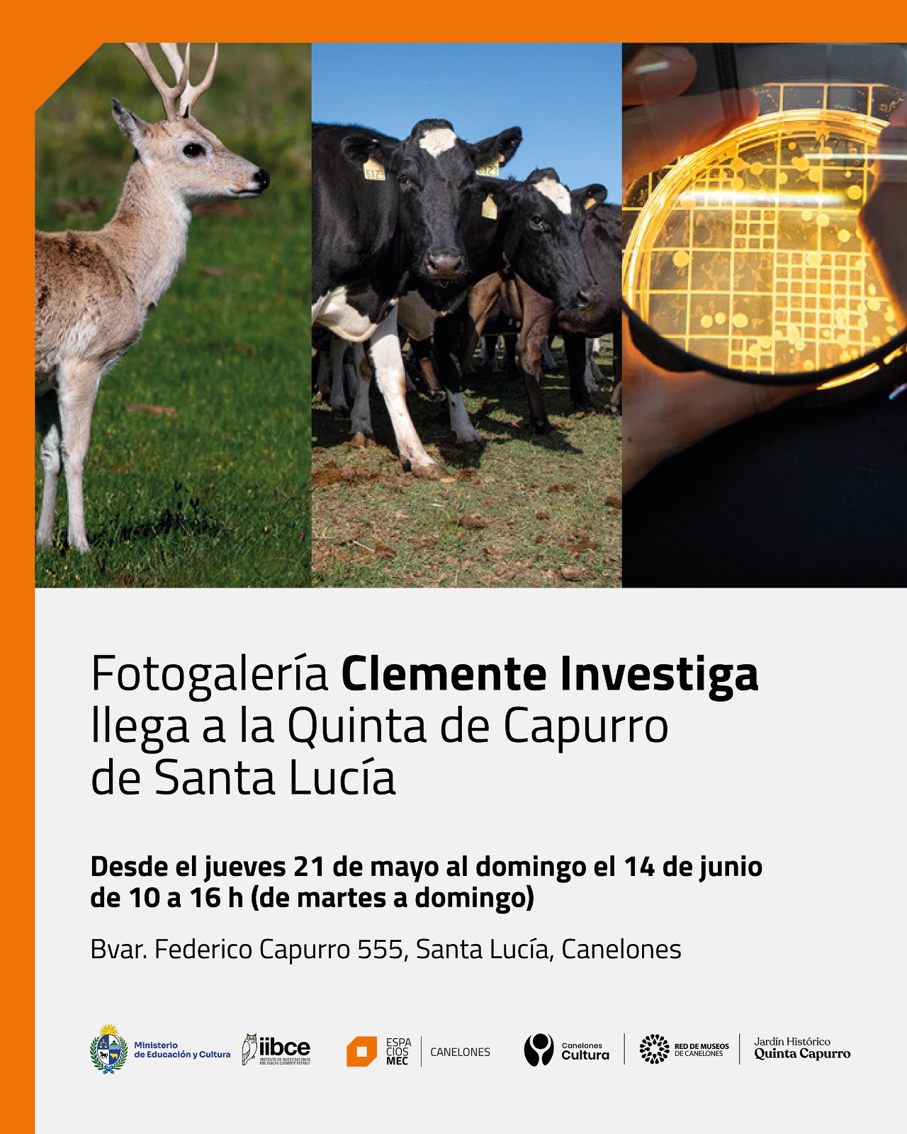 Image descripcion