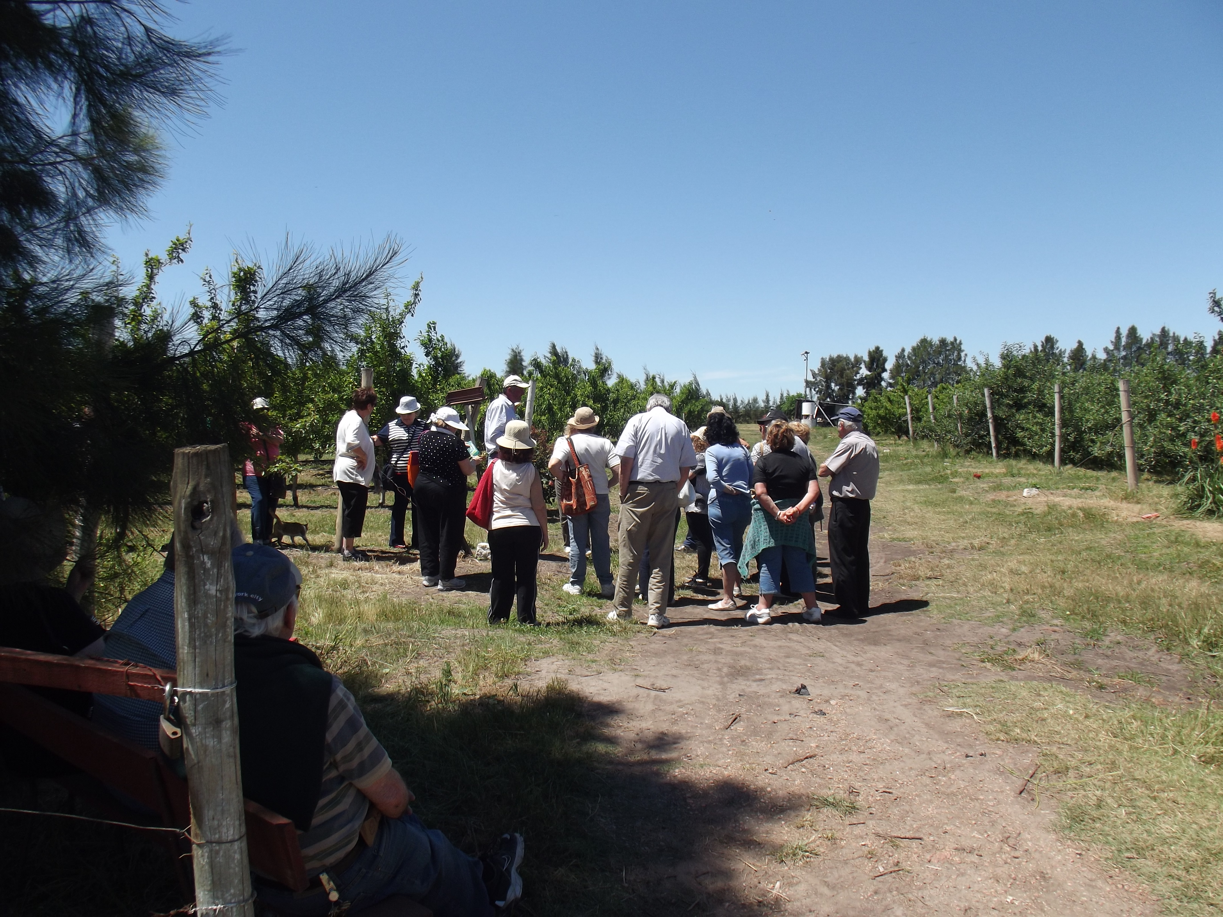 descripcion de imagen