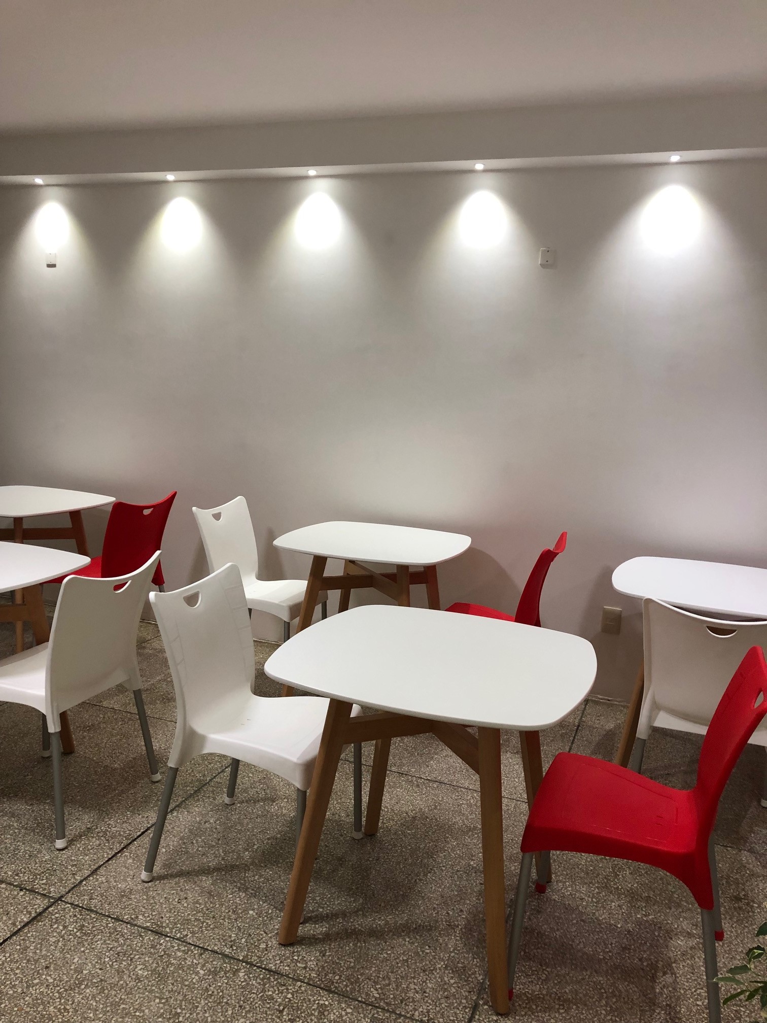 descripcion de imagen