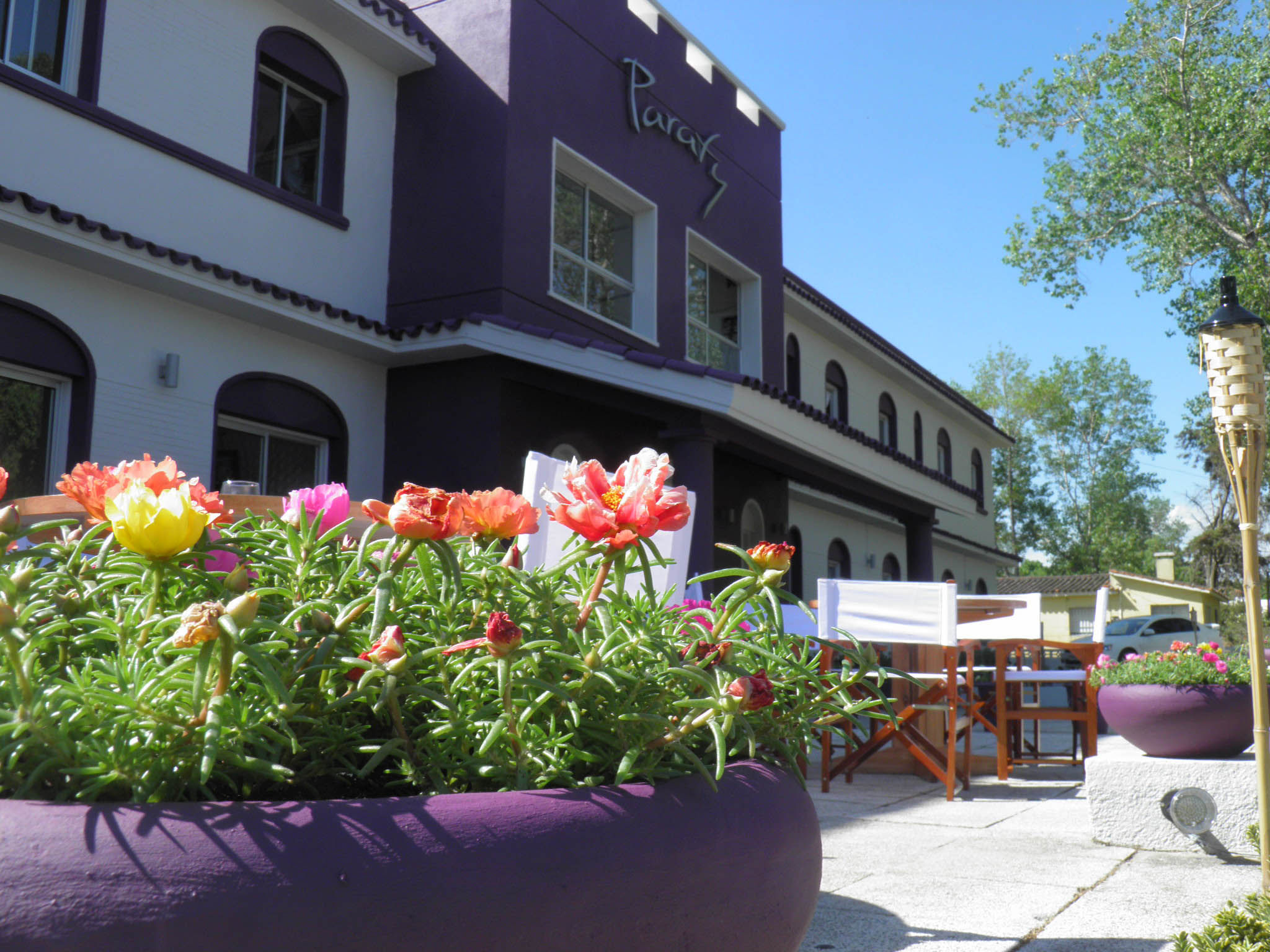 descripcion de imagen