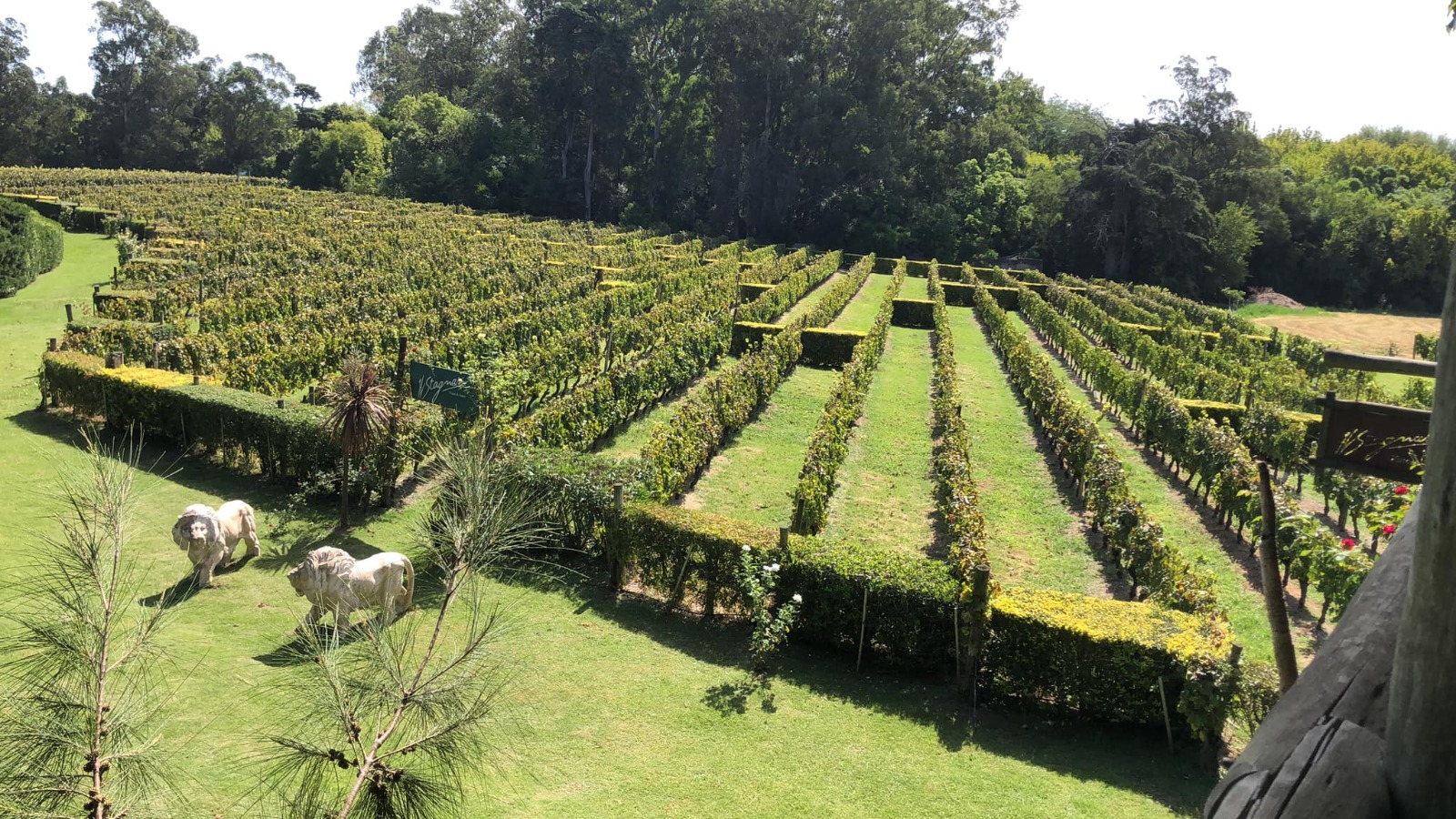 descripcion de imagen