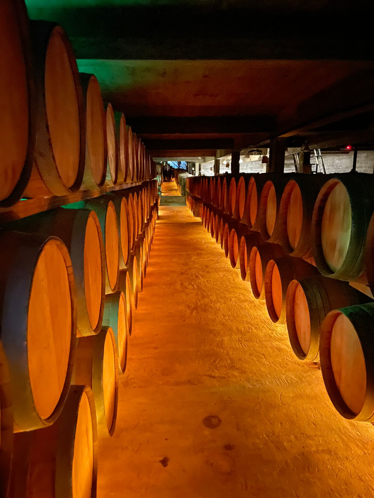 descripcion de imagen