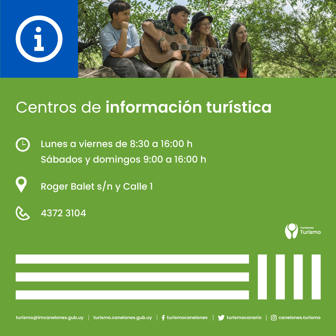 descripcion de imagen