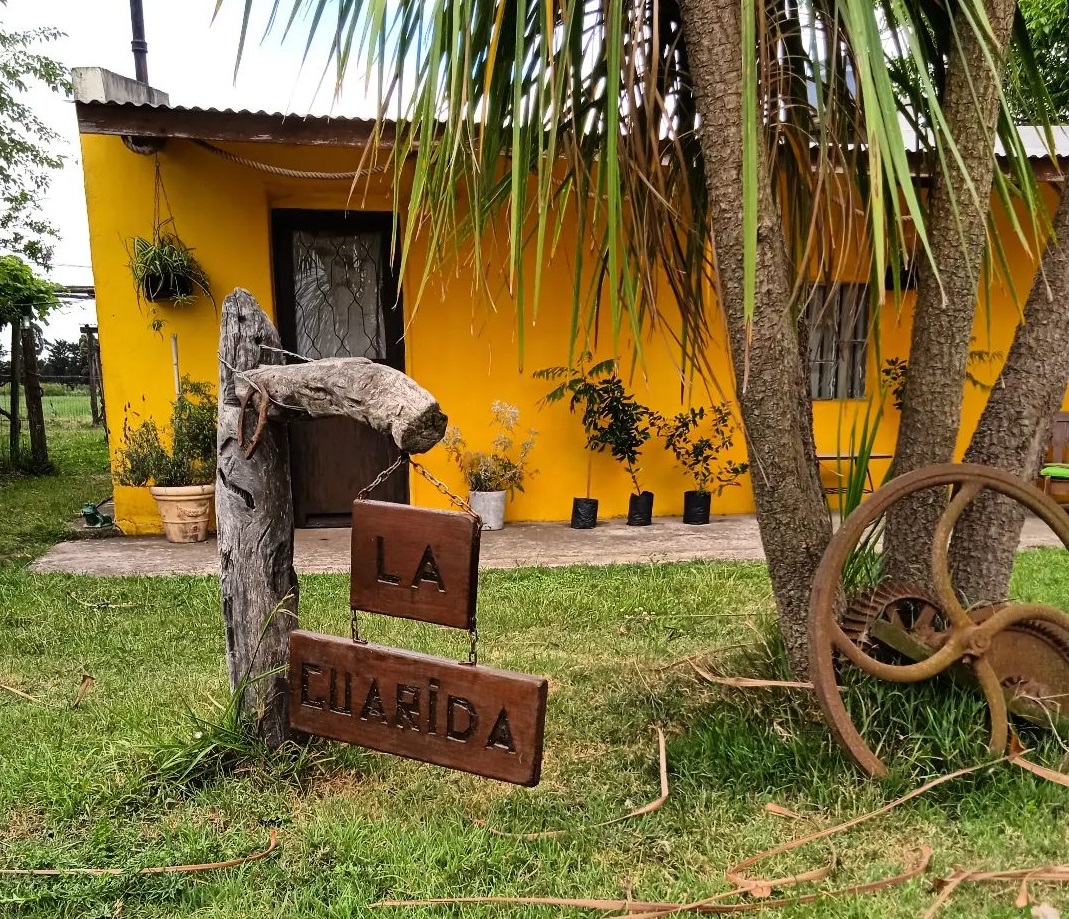 descripcion de imagen