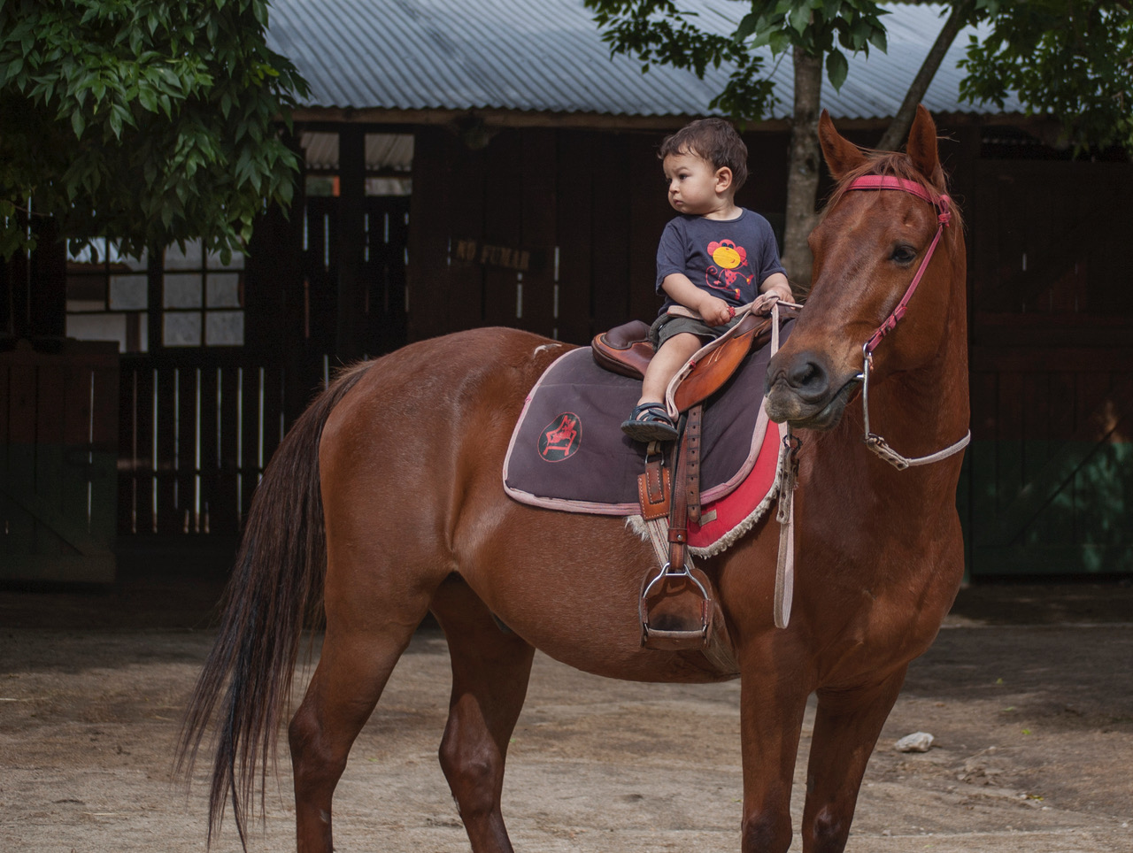 descripcion de imagen