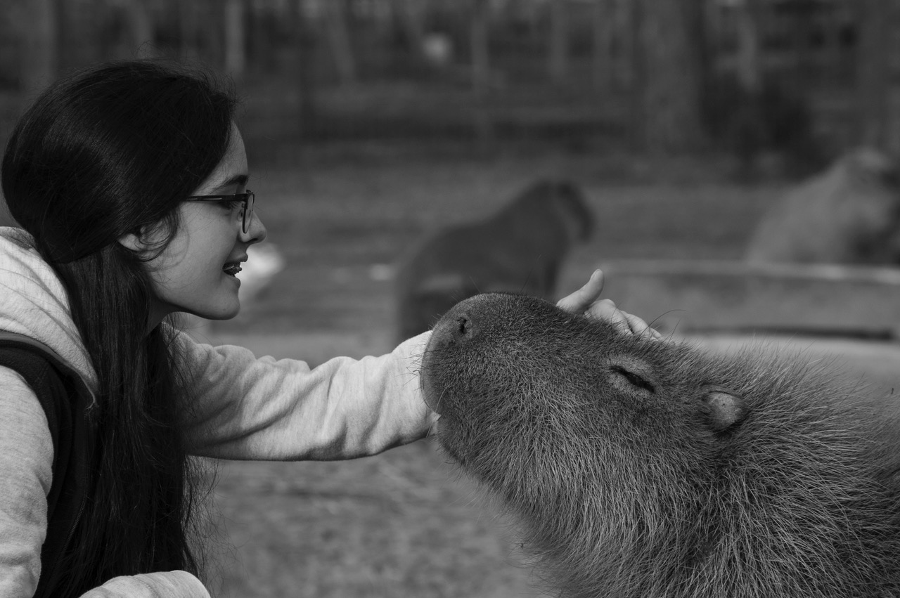 descripcion de imagen