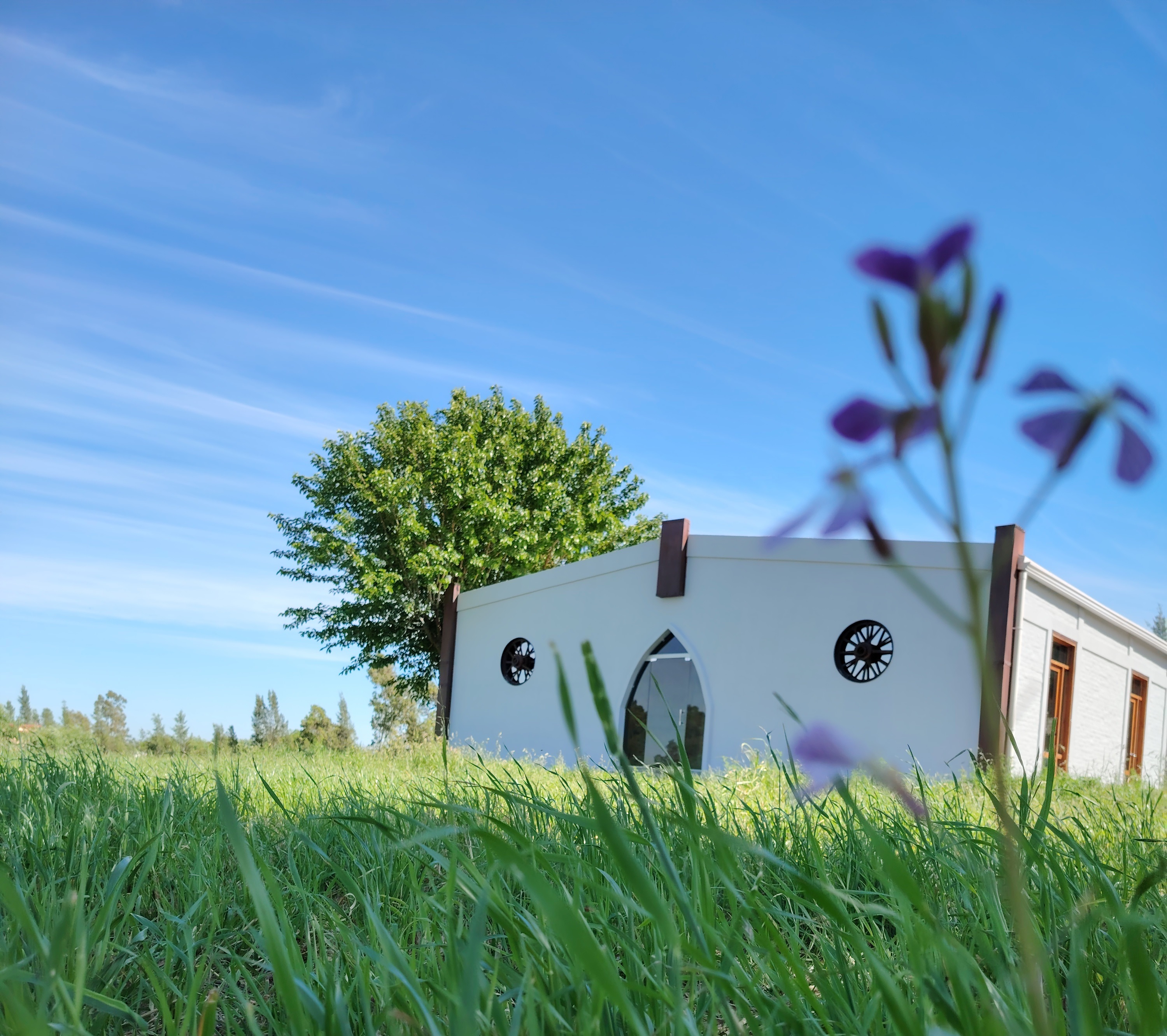 descripcion de imagen